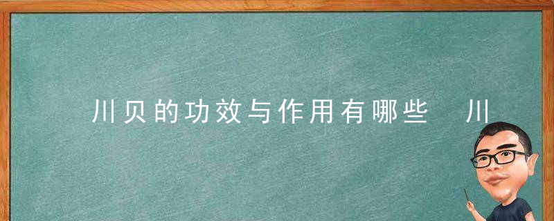 川贝的功效与作用有哪些 川贝怎么吃呢